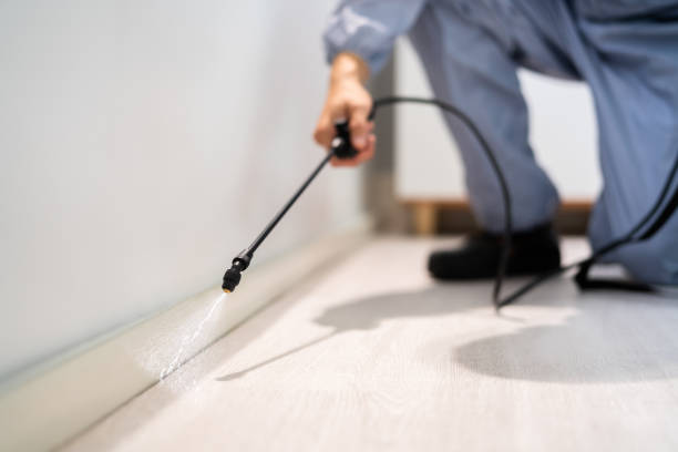 Licensed Termite Control service in Hickory, NC - Nex Pest Control