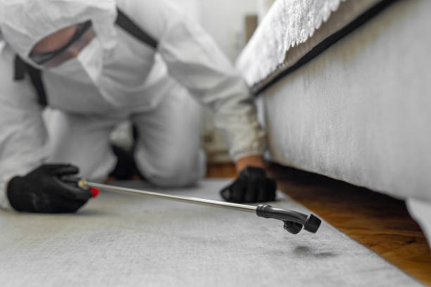 Professional Termite Control technician working in Hickory, NC